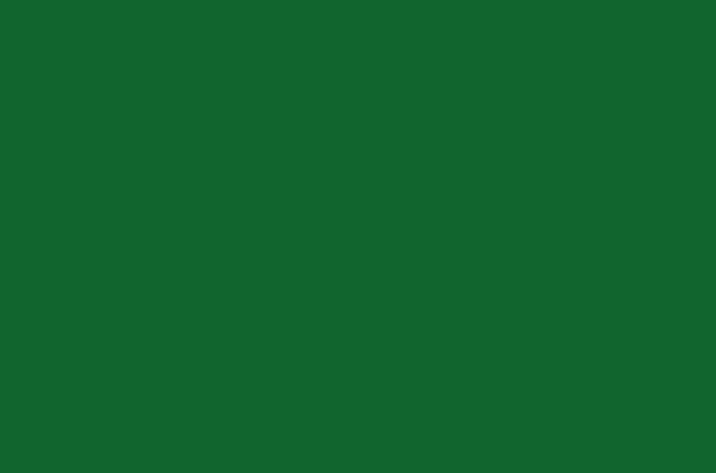 Color-Verde-Recambios-Moto-Eléctrica