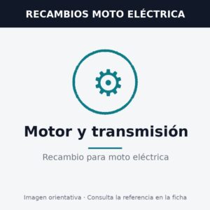 Recambio para moto eléctrica - Motor y transmisión